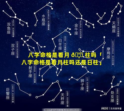 八字命格是看月 🦄 柱吗「八字命格是看月柱吗还是日柱」